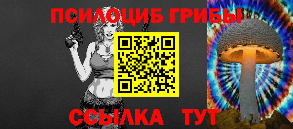 Альметьевск  магазин продажи наркотиков  Вход с VPN  Галлюциногенные грибы Psilocybe 